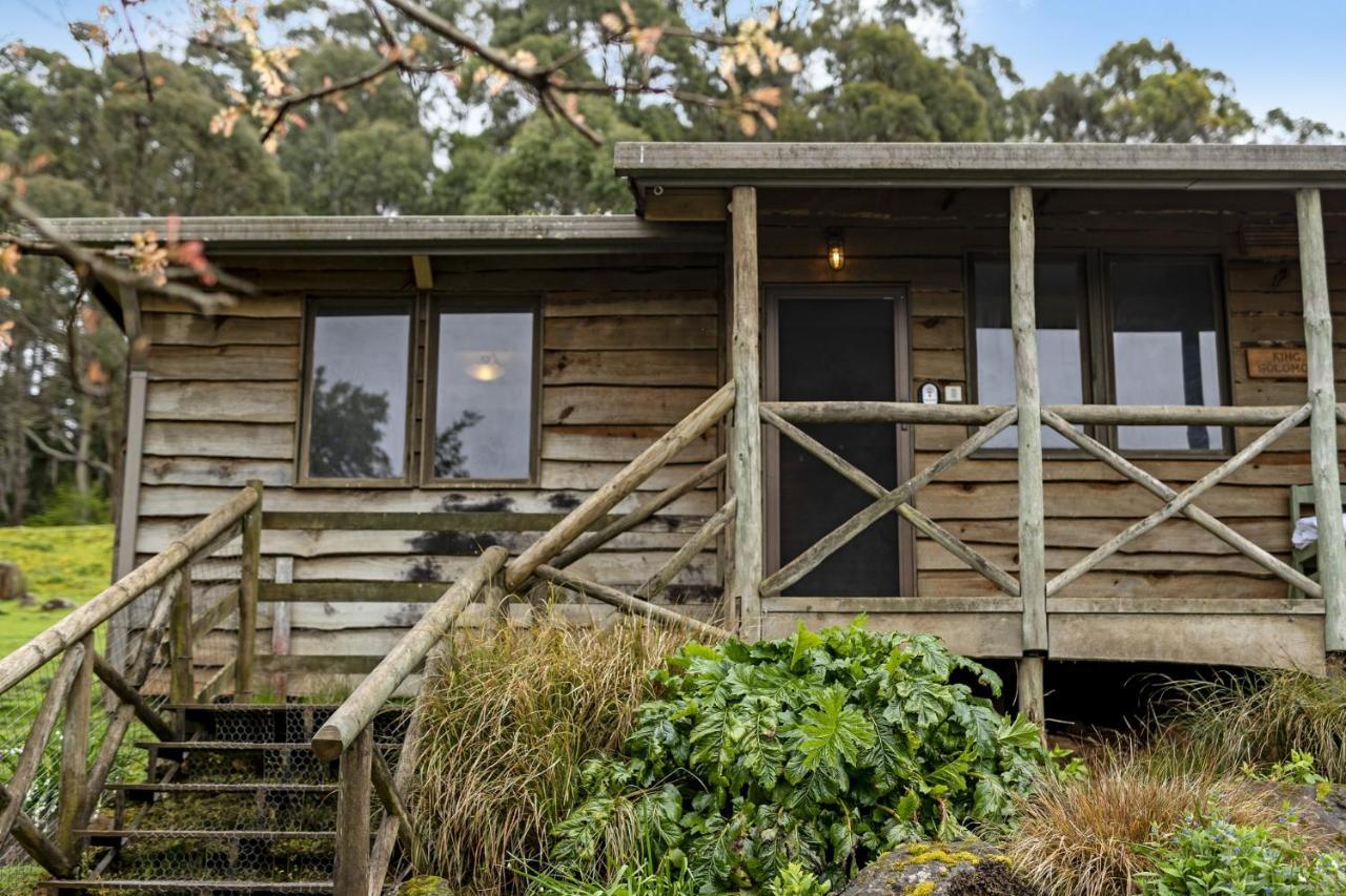 Mole Creek Cabins Exteriör bild
